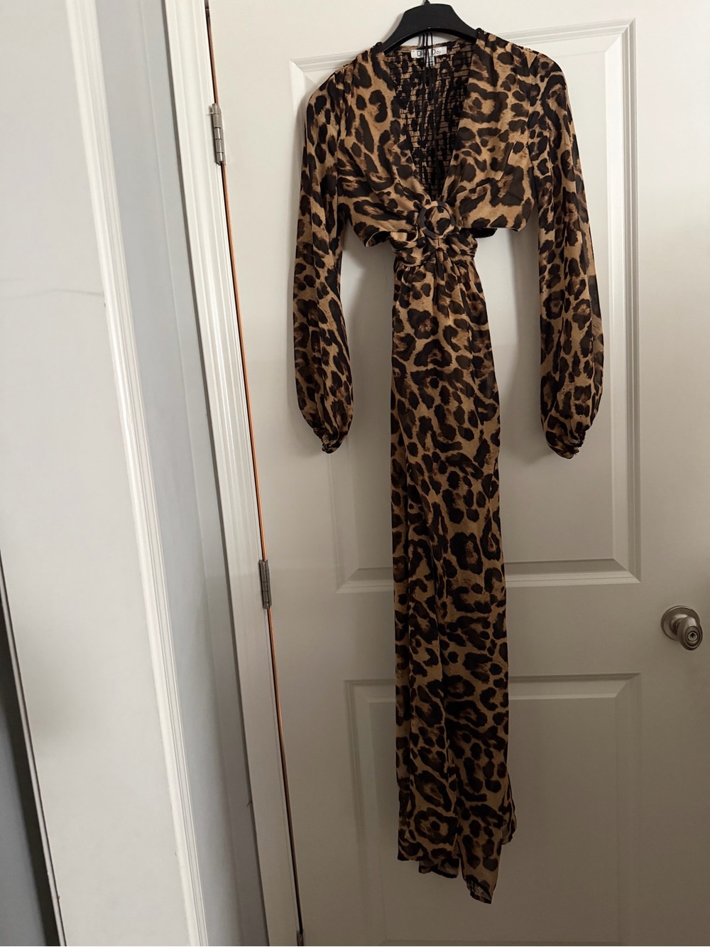 Leopard Print Long Sleeve Tie-Front Maxi Dress